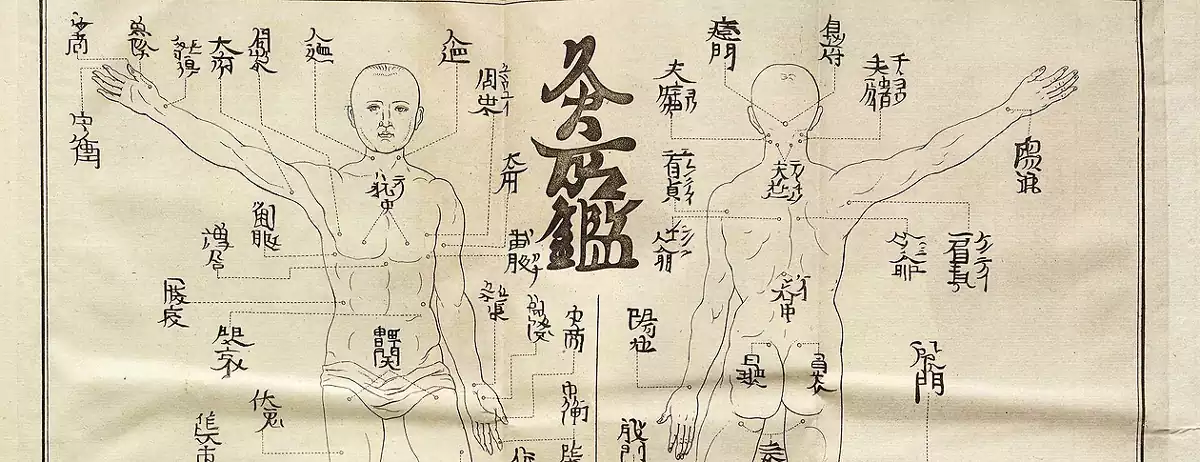 Medicina Tradicional China Archivos - Instituto de Medicina China