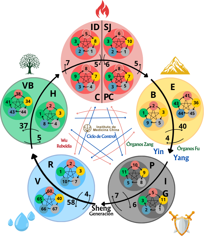 sección 5 elementos